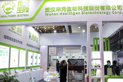 科創板第五套標準重啟落地，三年虧損4.82億元生物科技公司成功過會